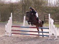 Centre équestre du Noyonnais - Centre équestre et poney-club